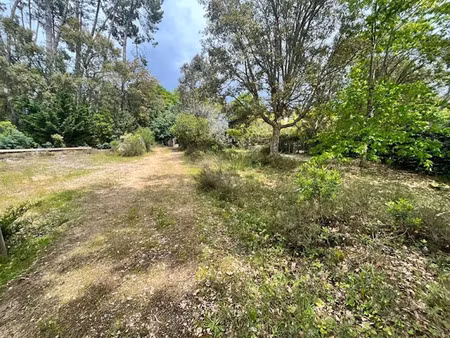 vente terrain à batir 606 m² à moliets-et-maa (40660)  190 000 €