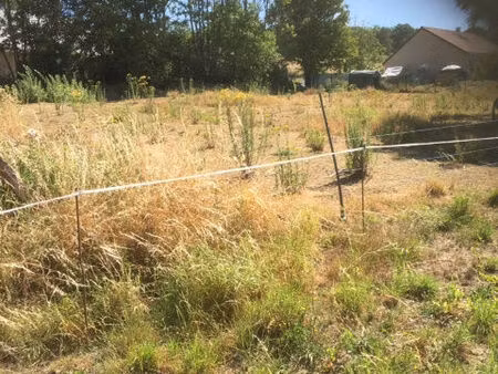 vente terrain 1000 m² montbard (21500)