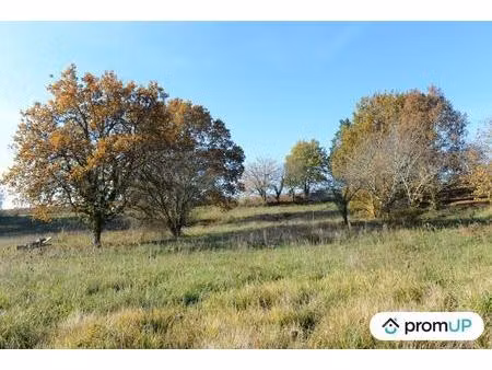 vente terrain 2240 m² mouleydier (24520)