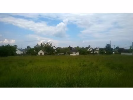 vente terrain à batir 775 m² à muides-sur-loire (41500)  44 500 €