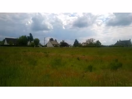 vente terrain à batir 817 m² à muides-sur-loire (41500)  44 500 €