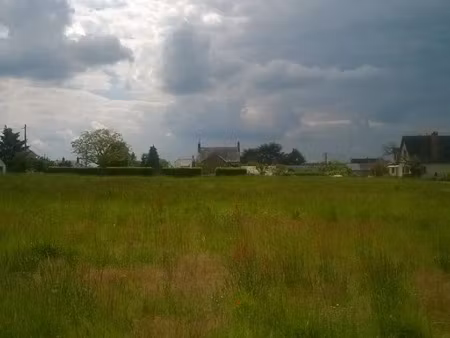 vente terrain à batir 830 m² à muides-sur-loire (41500)  44 500 €
