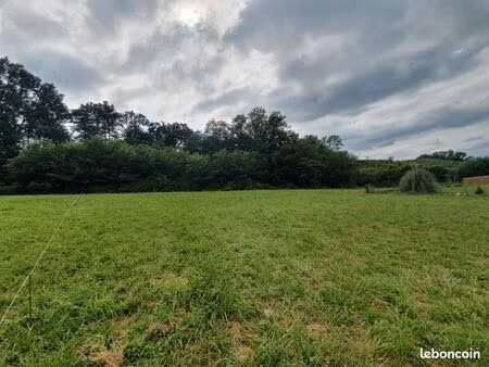 terrain 1 974 m² nerbis