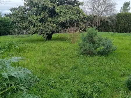 vente terrain 625 m² à paulhan (34230)  149 000 €