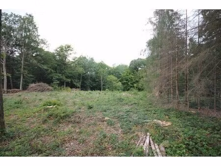 terrain à bâtir à vendre de 3324 m² à roly (vaz79894)