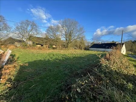 vente terrain 1173 m² querrien (29310)
