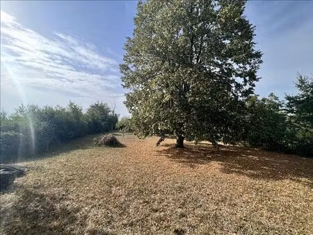 vente terrain 2230 m² saint-baudel (18160)