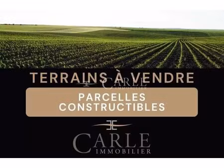 terrain plat de 854 m² en fond d'impasse