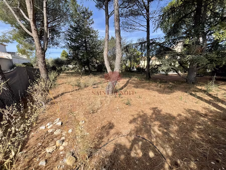 à vendre - terrain constructible  arboré