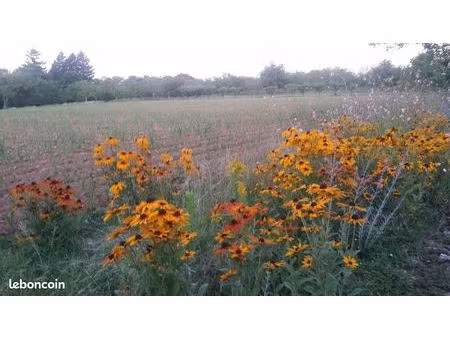 terrains à bâtir 1500 à 2000m² st michel loubejou