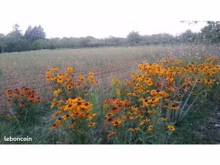 terrains à bâtir 1500 m² st michel loubejou