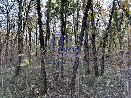 vente terrain savignac 12200 - - surface privée