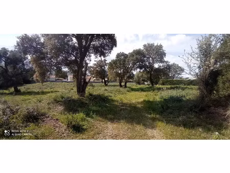 vente terrain à batir 941 m² à solaro (20240)  125 000 €