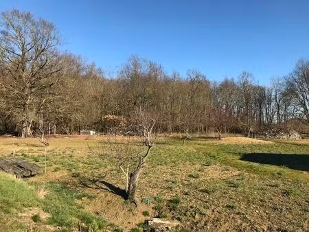 vente terrain 1000 m² villeperdue (37260)