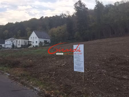 zillisheim (68720) terrain de construction de 455 m2