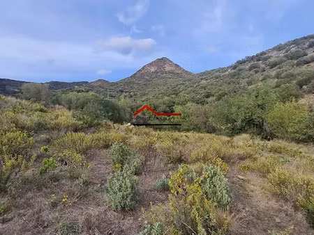 vente terrain 10225 m² à banyuls-sur-mer (66650)  24 000 €