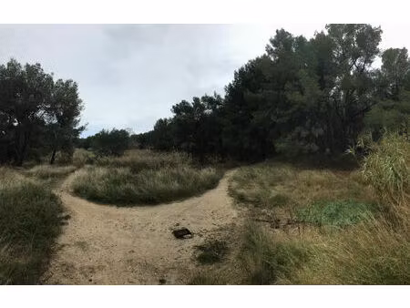 vente terrain 80839 m² mauguio (34130)