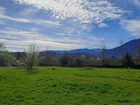 vente terrain 1729 m² à montaut (64800)  39 580 €