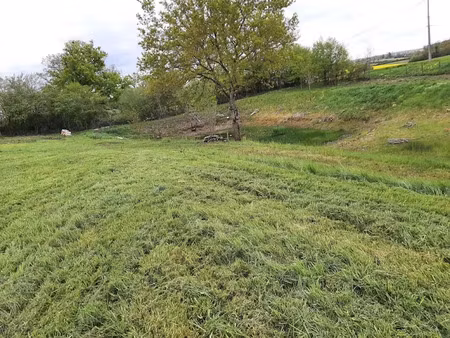vente terrain 4906 m² à dame-marie-les-bois (37110)  33 000 €