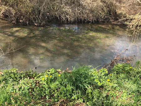 terrain lhommaize 414 m2 ambiance bucolique à 20 min de poitiers