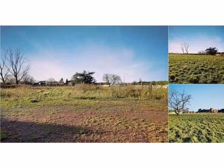 terrain à vendre de 5377 m² à blandain (vay05473)