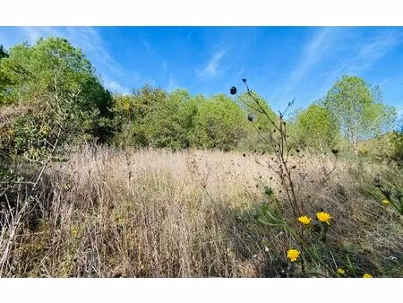 terrain trouillas m² t- à vendre  15 000 €