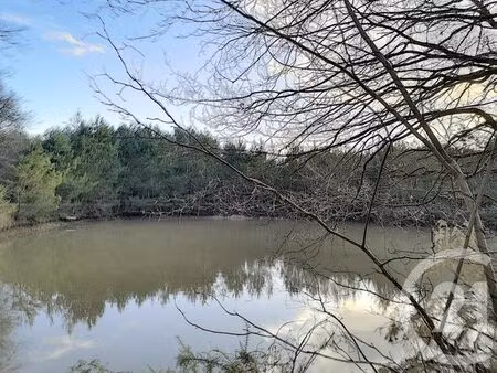 terrain à vendre - 108852 m2 - villefranche sur cher - 41 - centre