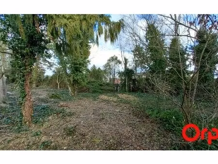 terrain wacquemoulin m² t- à vendre  67 000 €