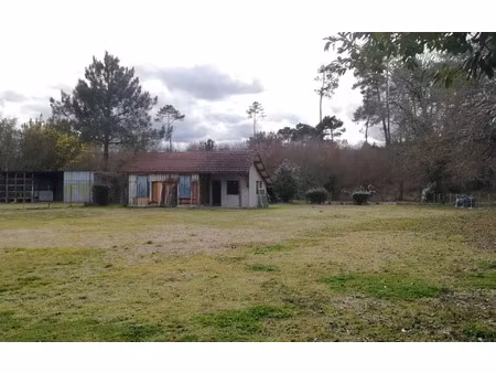 terrain ygos-saint-saturnin m² t- à vendre  59 000 €