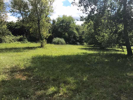 vente terrain 950 m² à eyrans (33390)  28 000 €