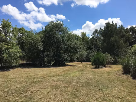 vente terrain 550 m² à portets (33640)  92 000 €