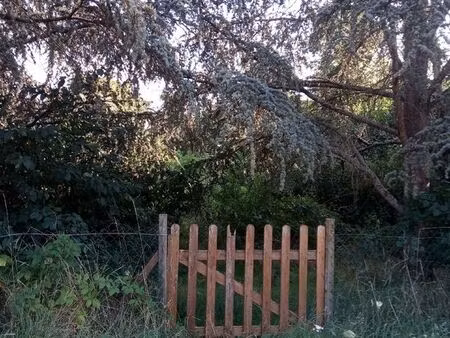 terrain de loisir de 2500m2