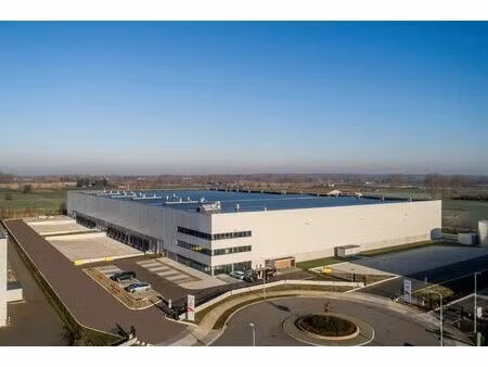 nouveau bâtiment logistiqueà louer à zele