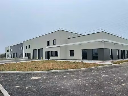 location local d'activités bergheim 3 000 m²
