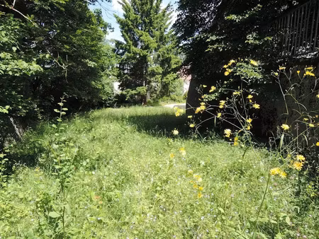 vente terrain 747 m² à hauteville-lompnes (01110)  56 000 €