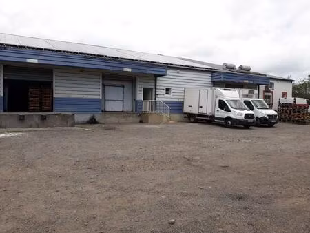 local d'activité/entrepôt de 1150 m² nord