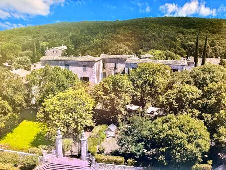 chateau à vendre à quissac (30260) - gard