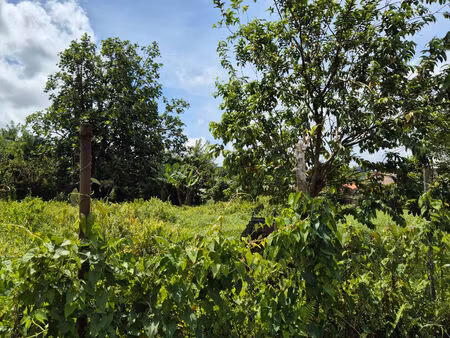 terrain constructible de 1716m2 le morne rouge