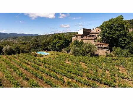 authentique mas en pierres sur 55 ha dont 15 ha de vignes  avec vue dominante imprenable  