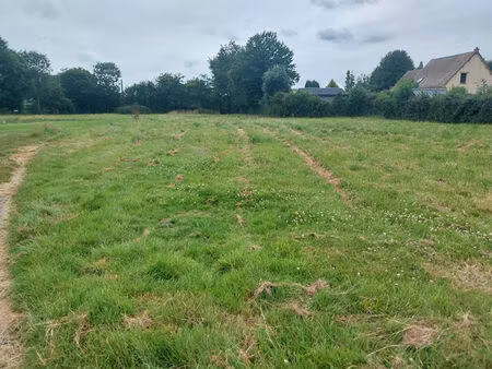 terrain hauville 1500 m2