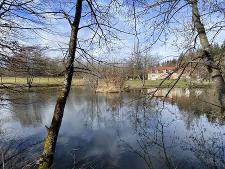 morvan: propriété de 5 hectares avec plan d'eau