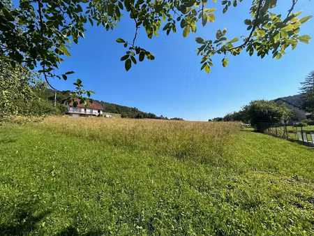 vente terrain à batir 1000 m² à rurey (25290)  95 000 €