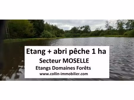 en vente terrain constructible 100 ares – 77 000 € |sarrebourg