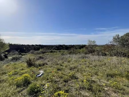 vente terrain 48670 m2 à arboras