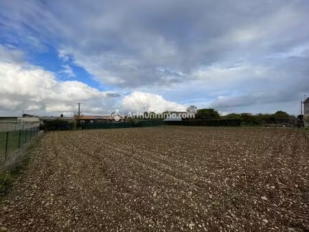 vente terrain 2491 m2 à bercloux