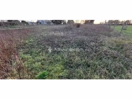 vente terrain 631 m2 à saint-pierre-de-juillers