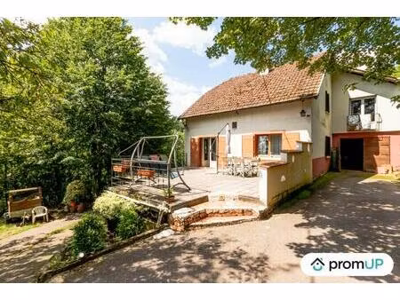 vente maison 7 pièces 200 m² tieffenbach (67290)