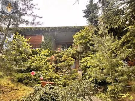 vente maison 8 pièces 300 m² sainte-ruffine (57130)