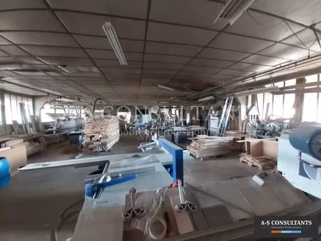 vente local industriel 1000 m² viriville (38980)