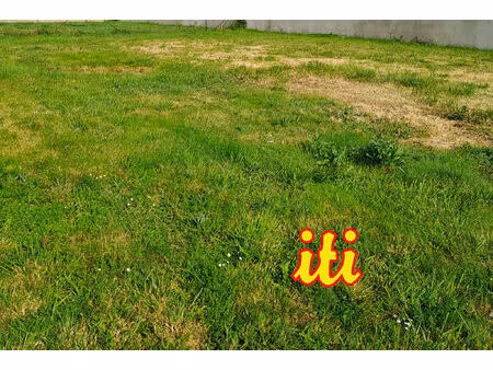 vente terrain 450 m² grosbreuil (85440)